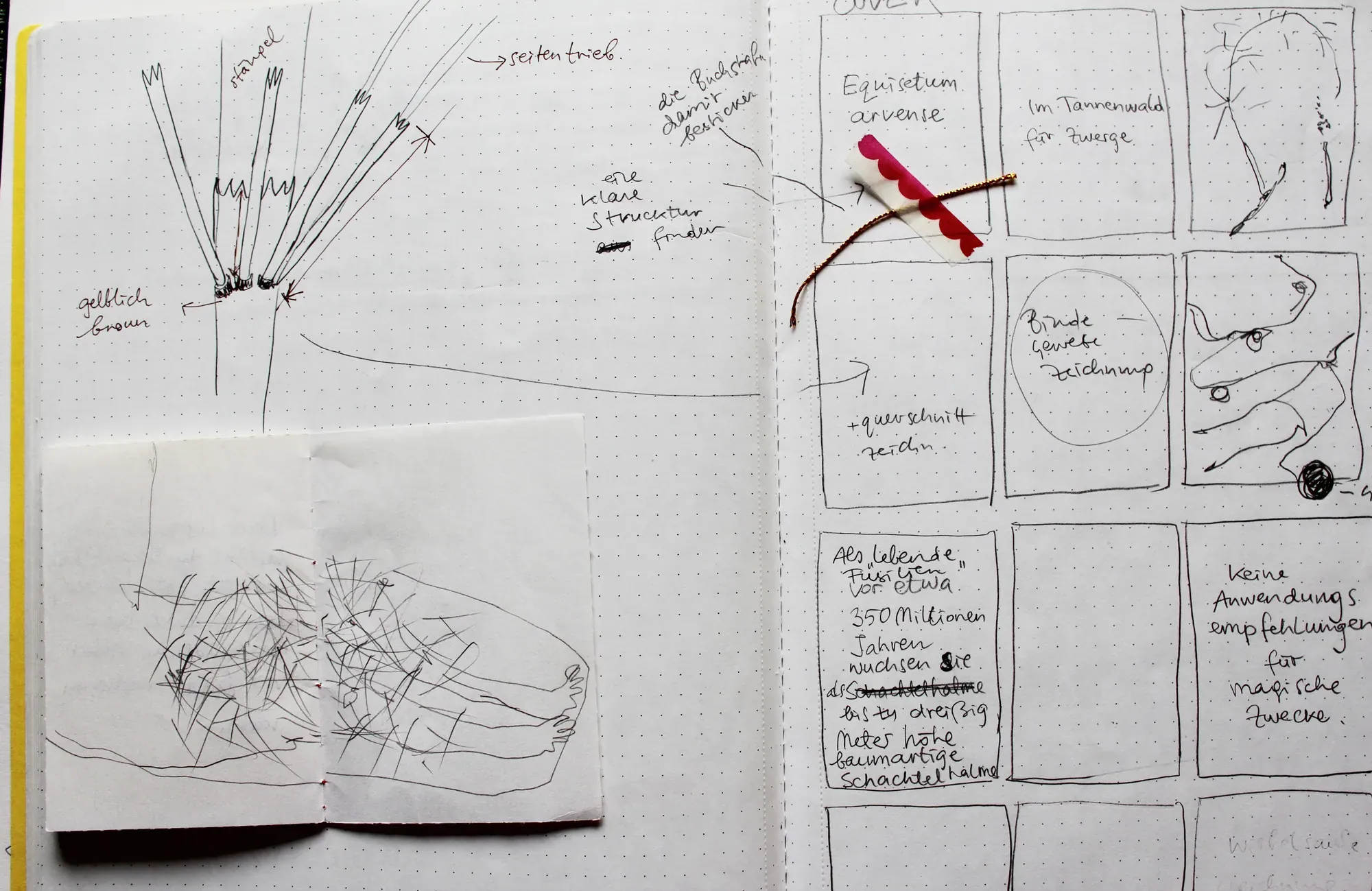 Page from a research notebook