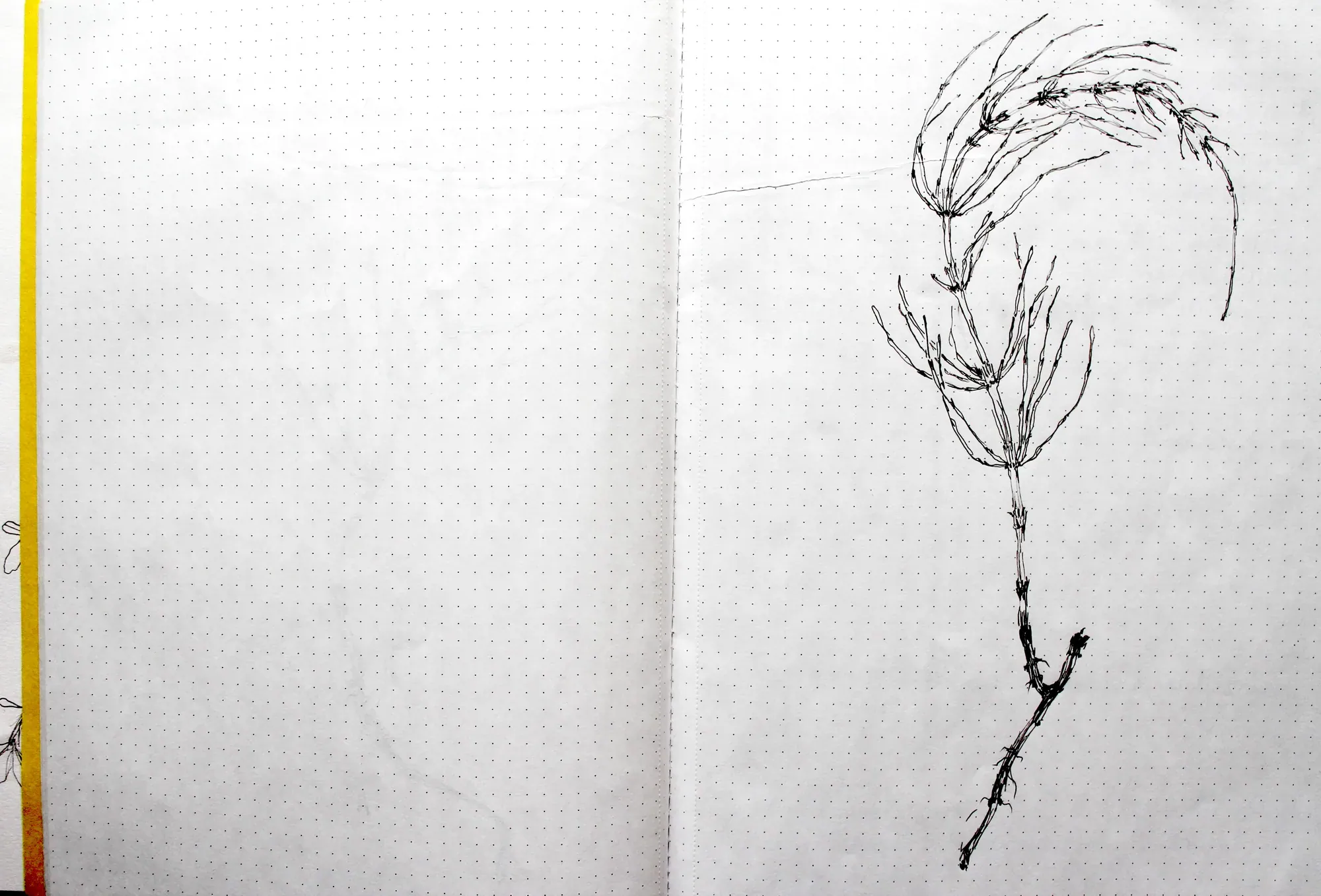 Page from a research notebook