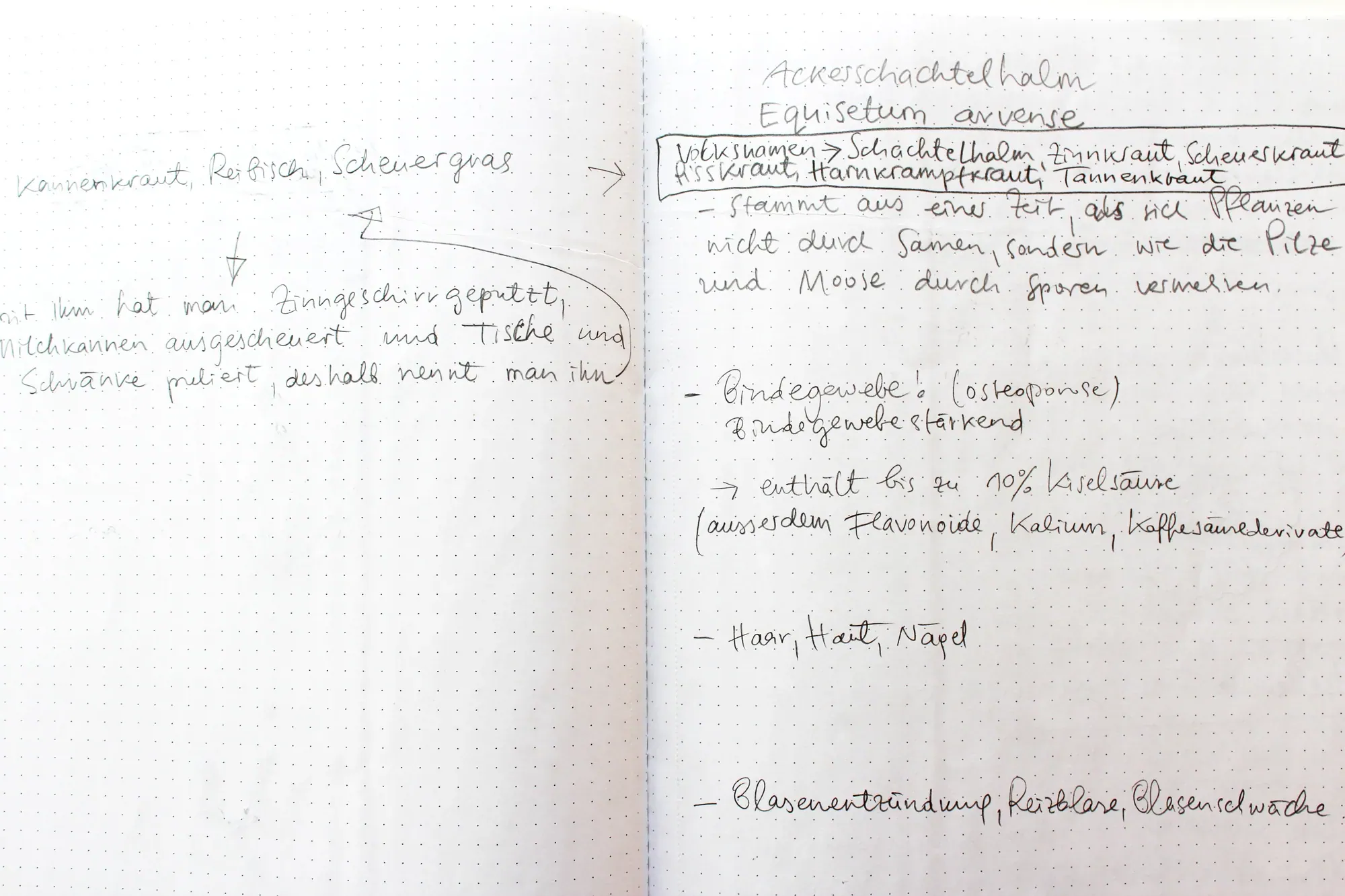 Page from a research notebook