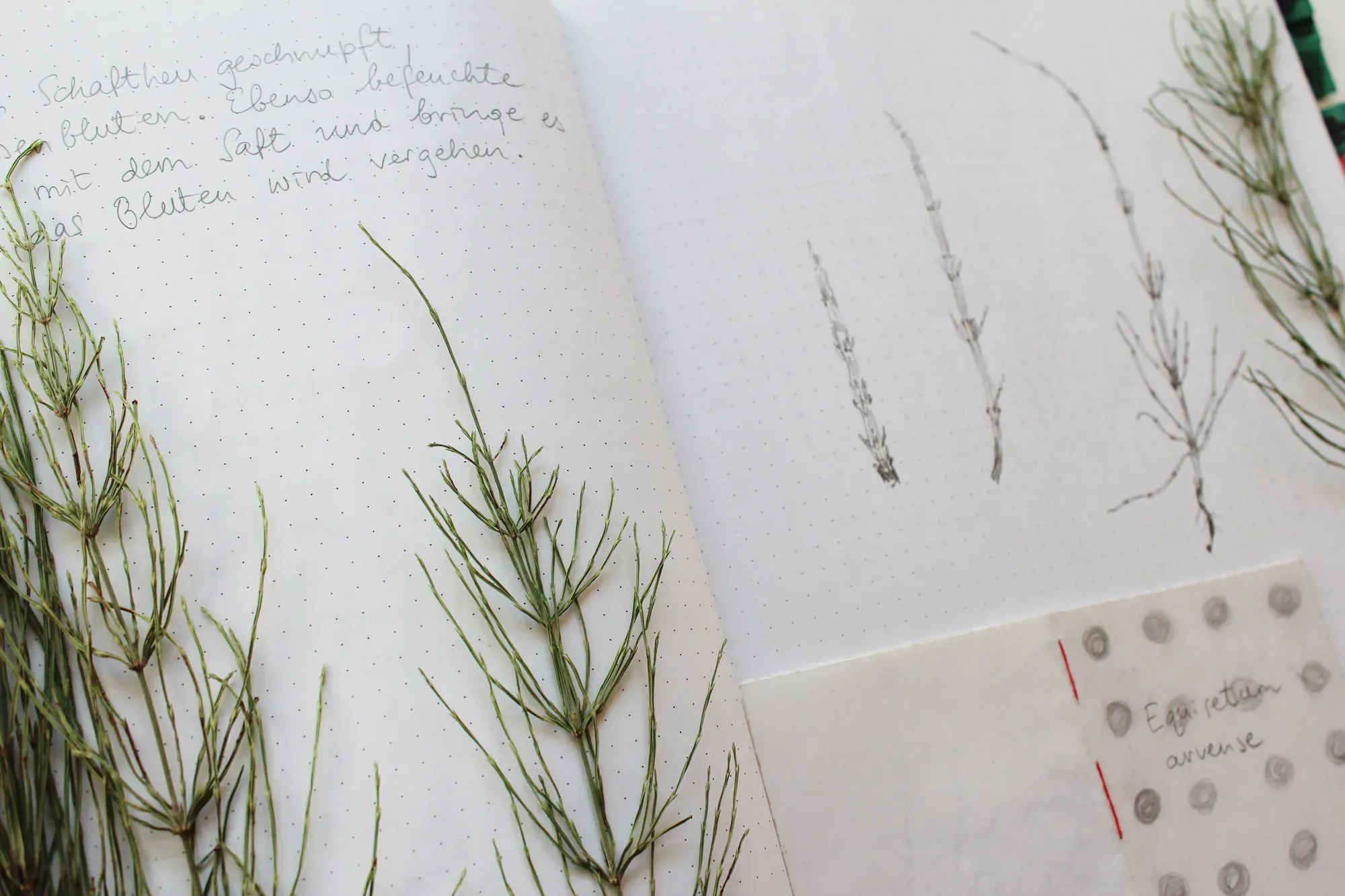 Page from a research notebook