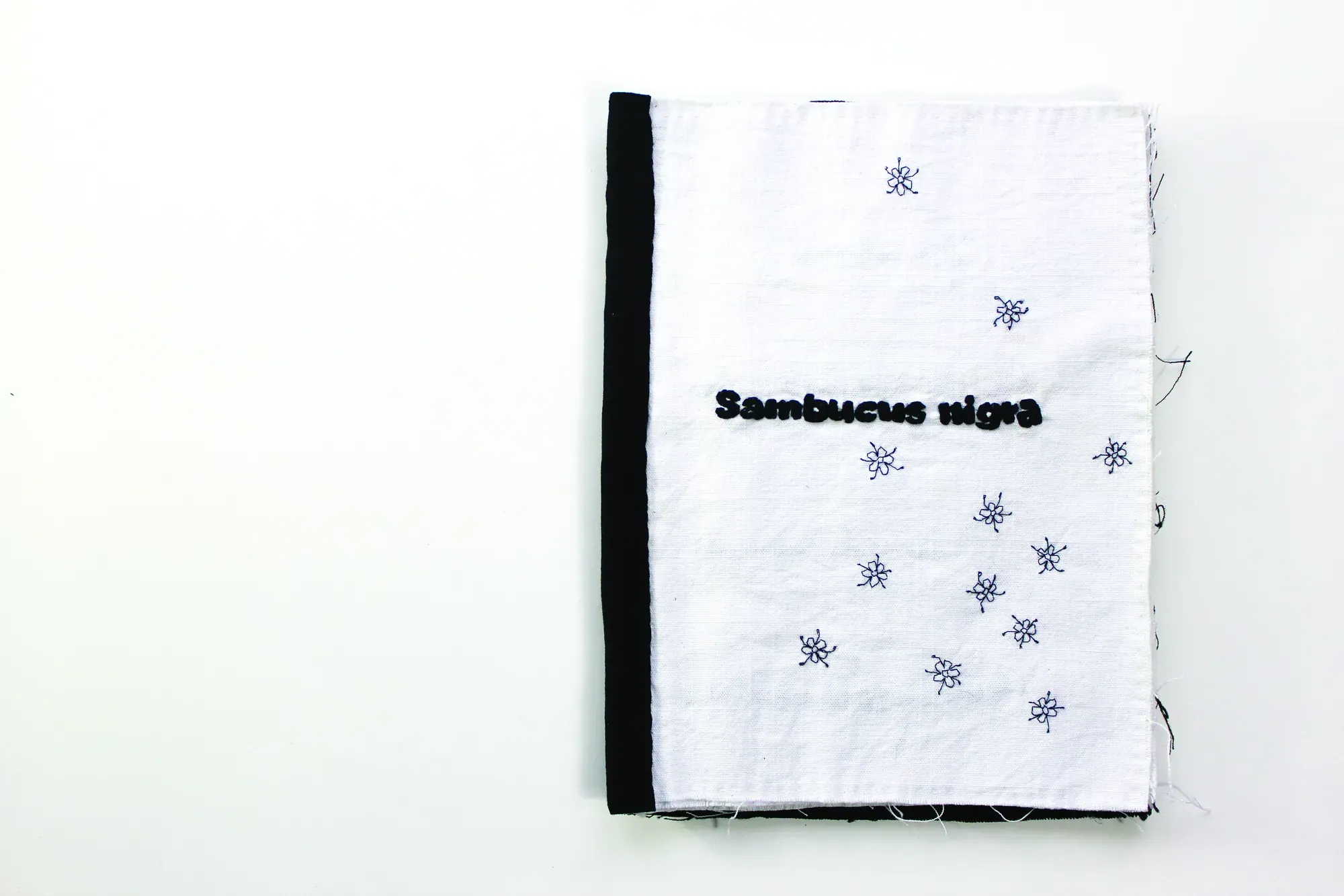 Sambucus nigra