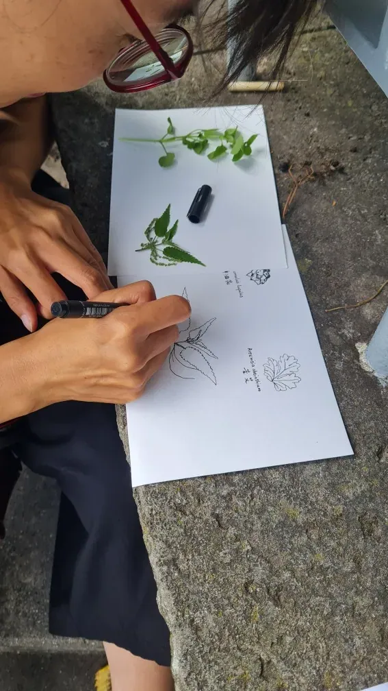 Workshop impression